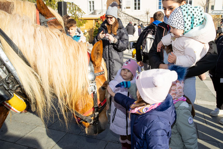 praznični sejem in prihod dedka mraza (30)